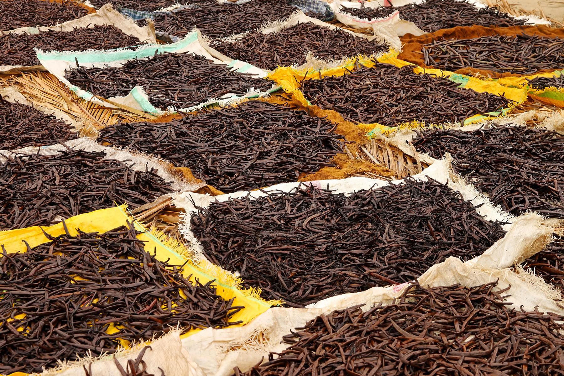 Pays Producteur De Vanille Producteurs De Vanille Naturelle Dans Le 