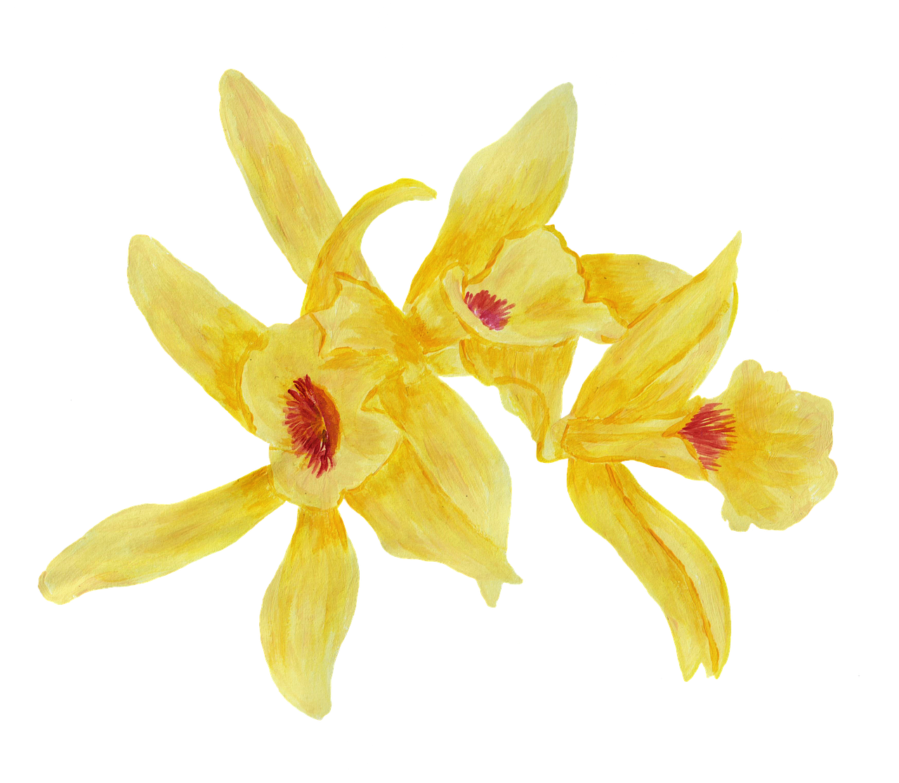 Fleur de vanille