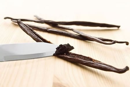 vanilla de madagascar
